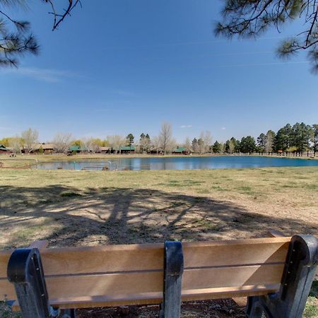Overgaard Cabin Near Sitgreaves National Forest! Екстер'єр фото
