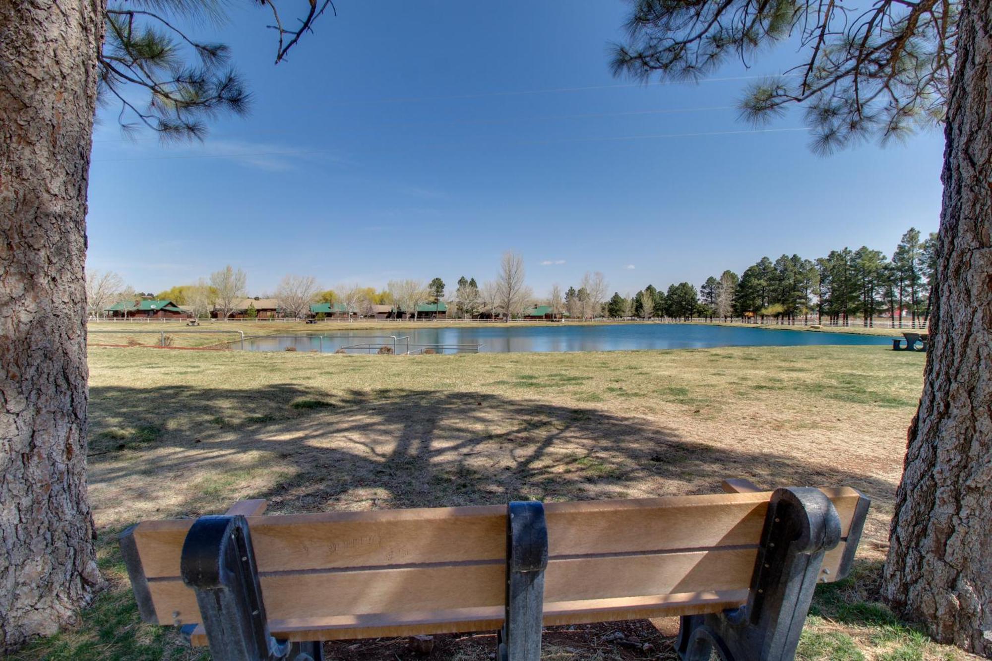Overgaard Cabin Near Sitgreaves National Forest! Екстер'єр фото